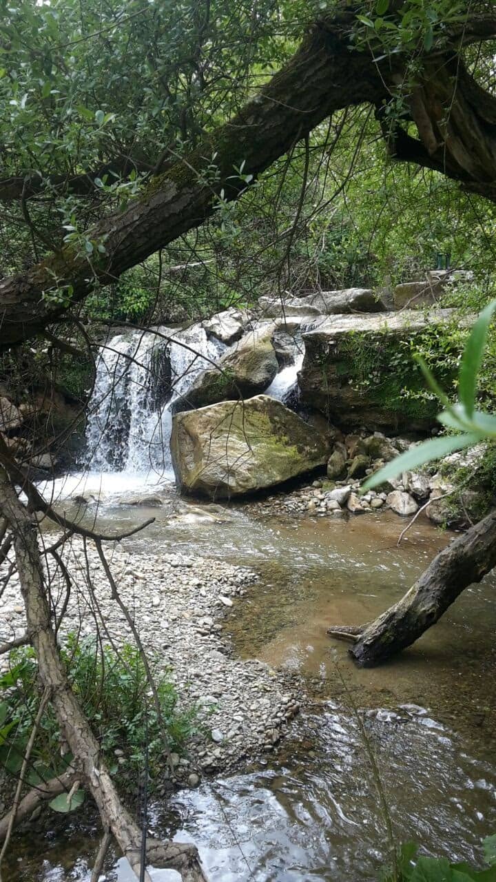 Vertical photo