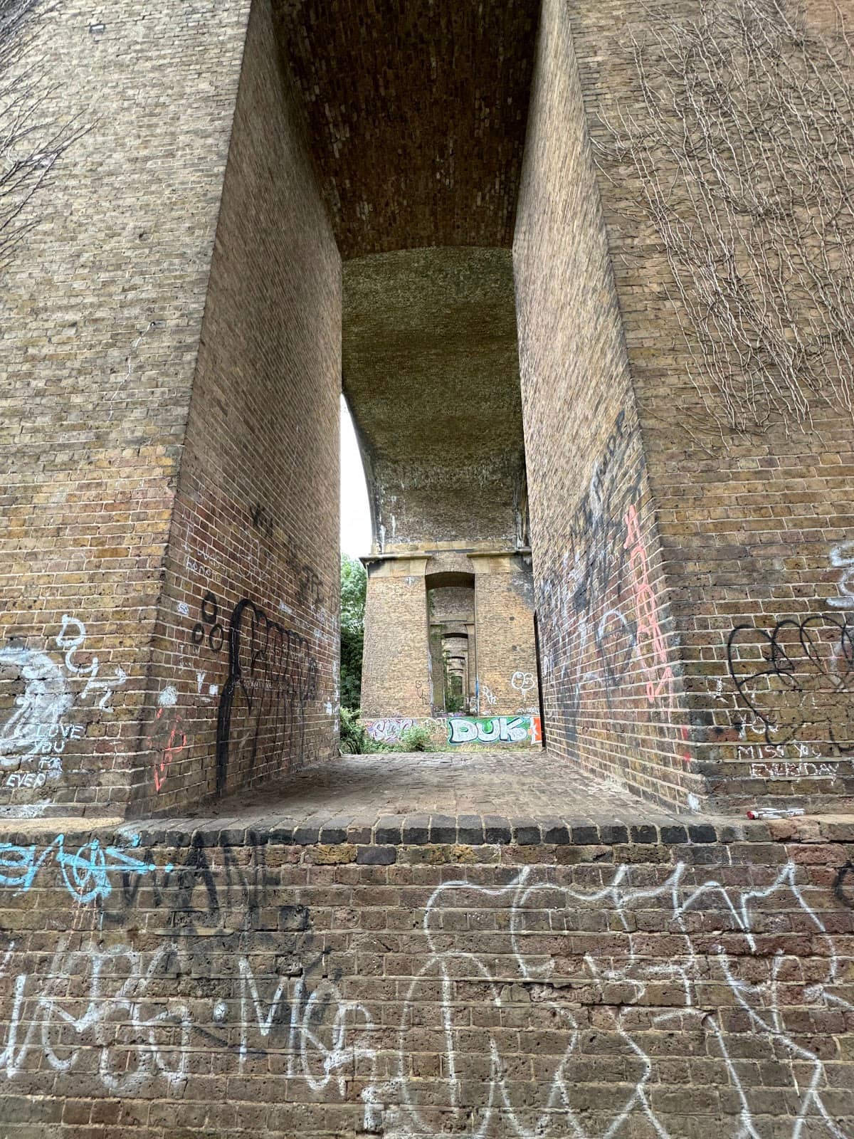Vertical photo
