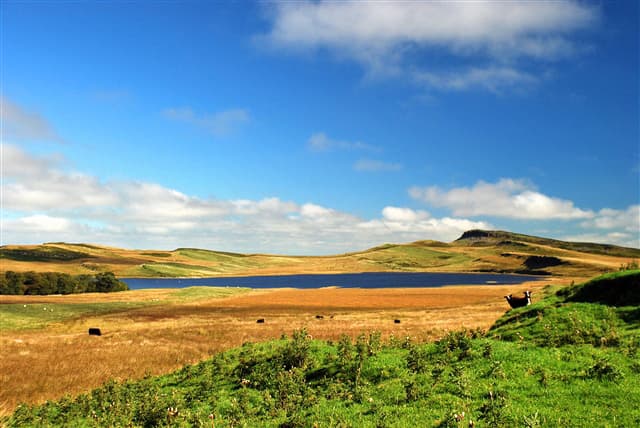 Broomlee Lough - Image 1
