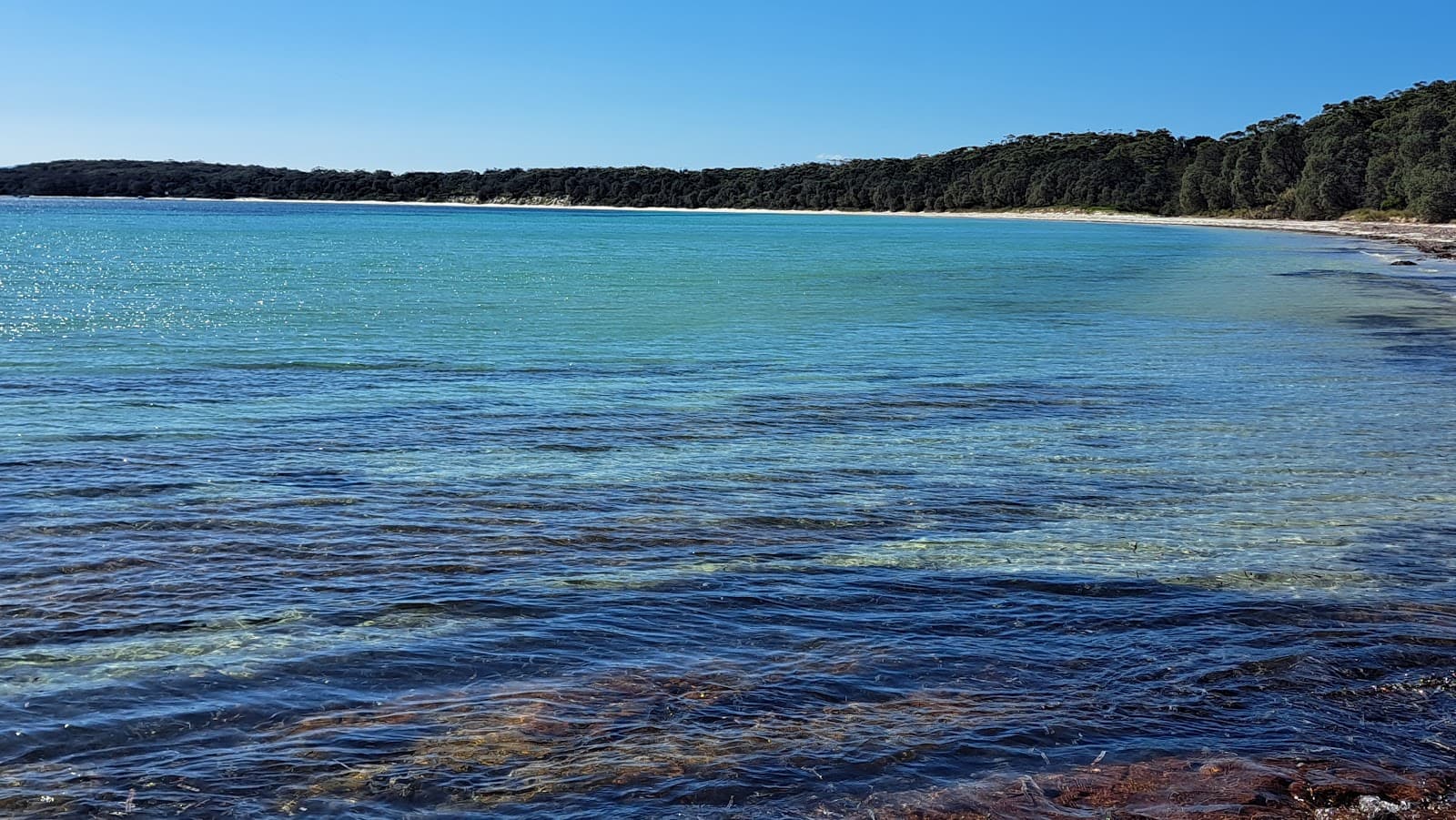 Long Beach (Beecroft Peninsula) - Image 1