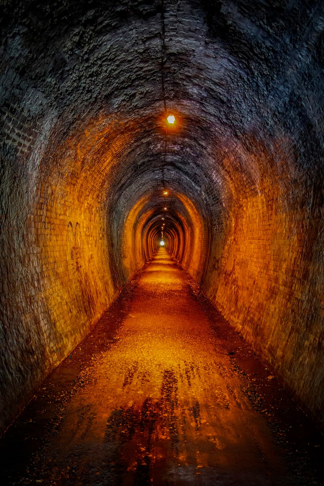 Karangahake Rail Tunnel - Image 1