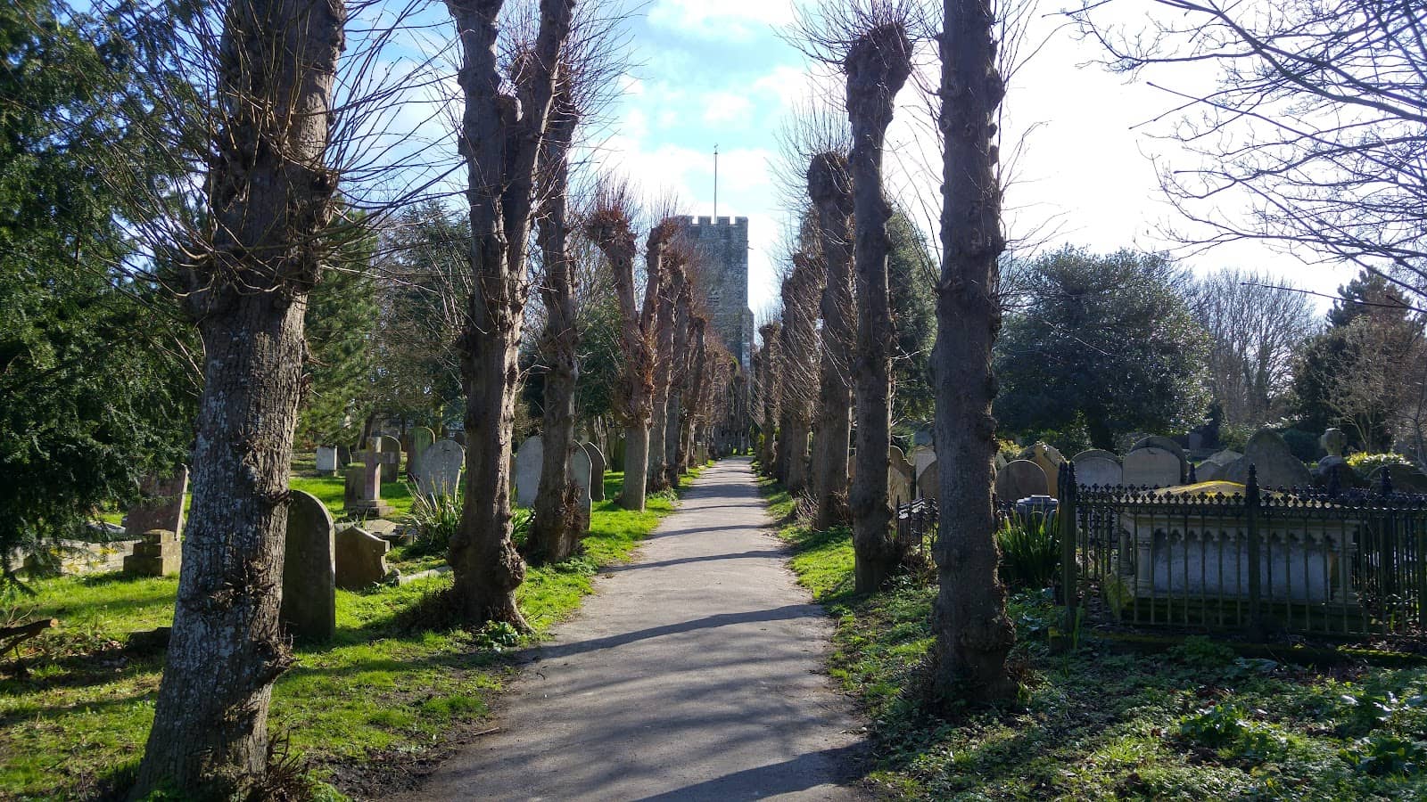 Expansive Graveyard