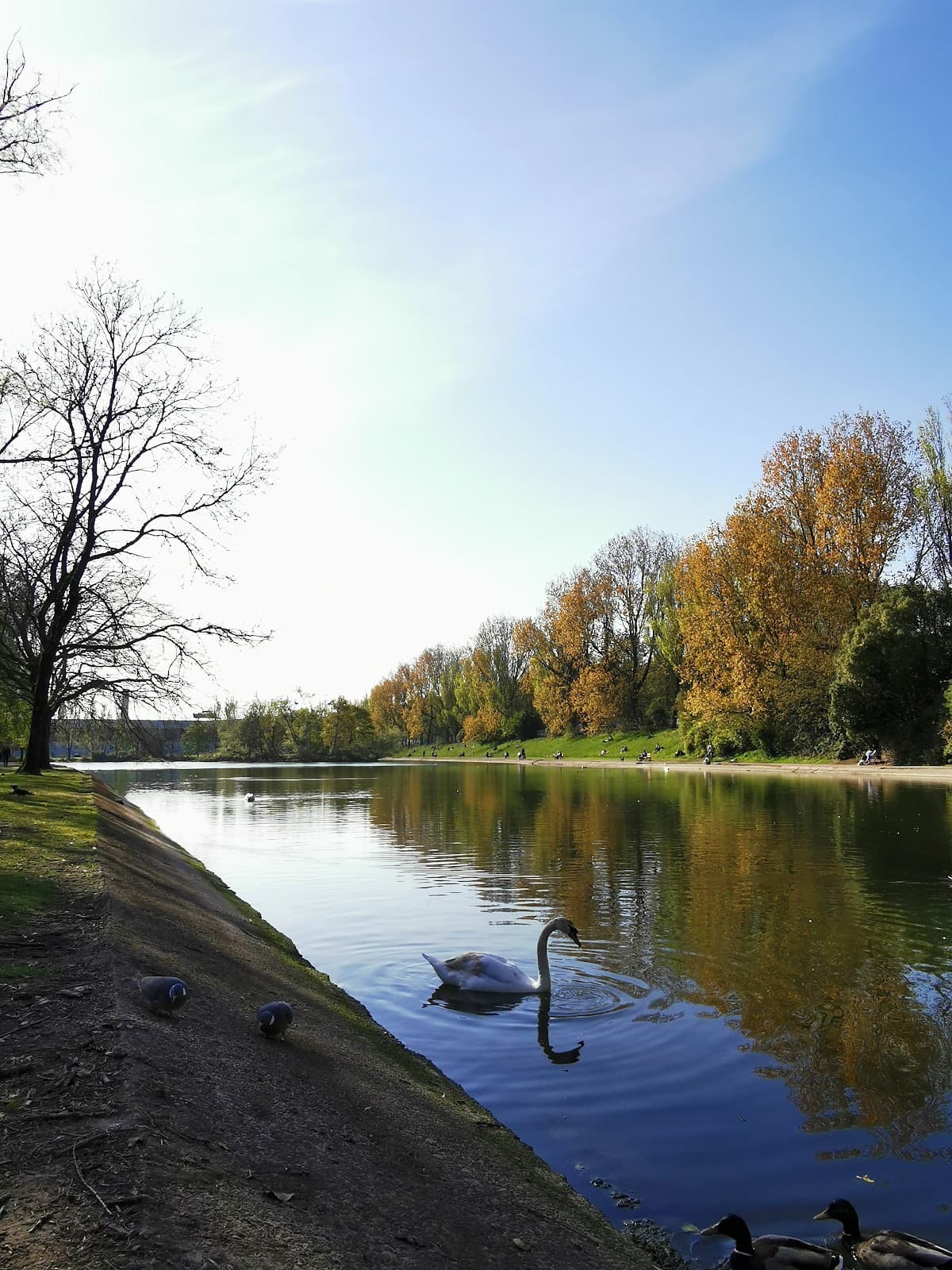 Atlantic Pond - Image 1