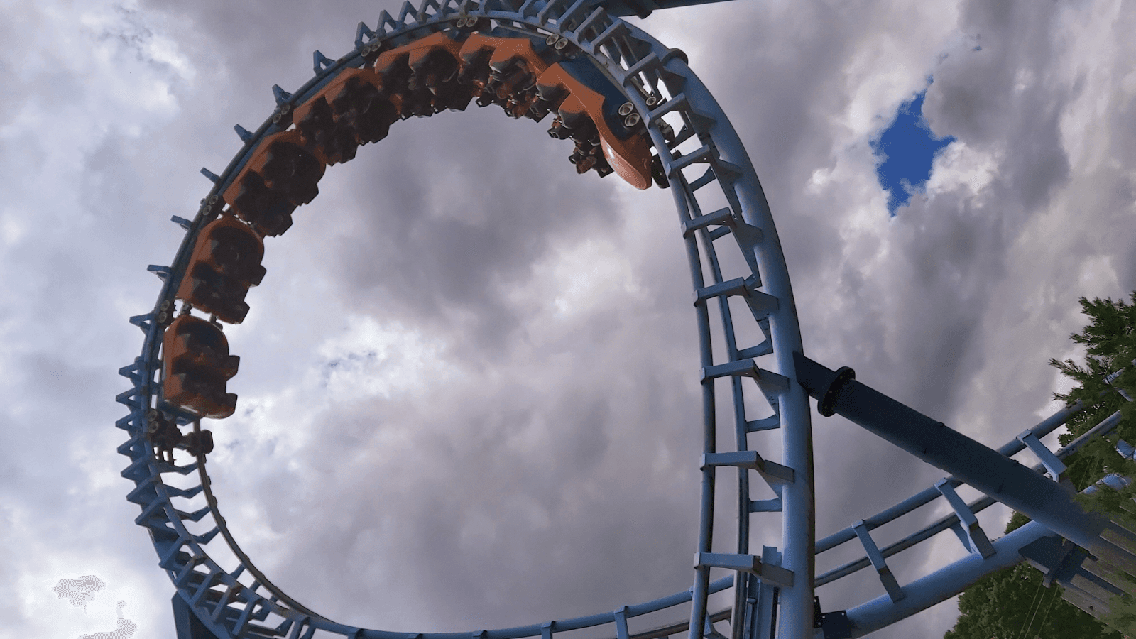 Sea Lion & Circus Shows