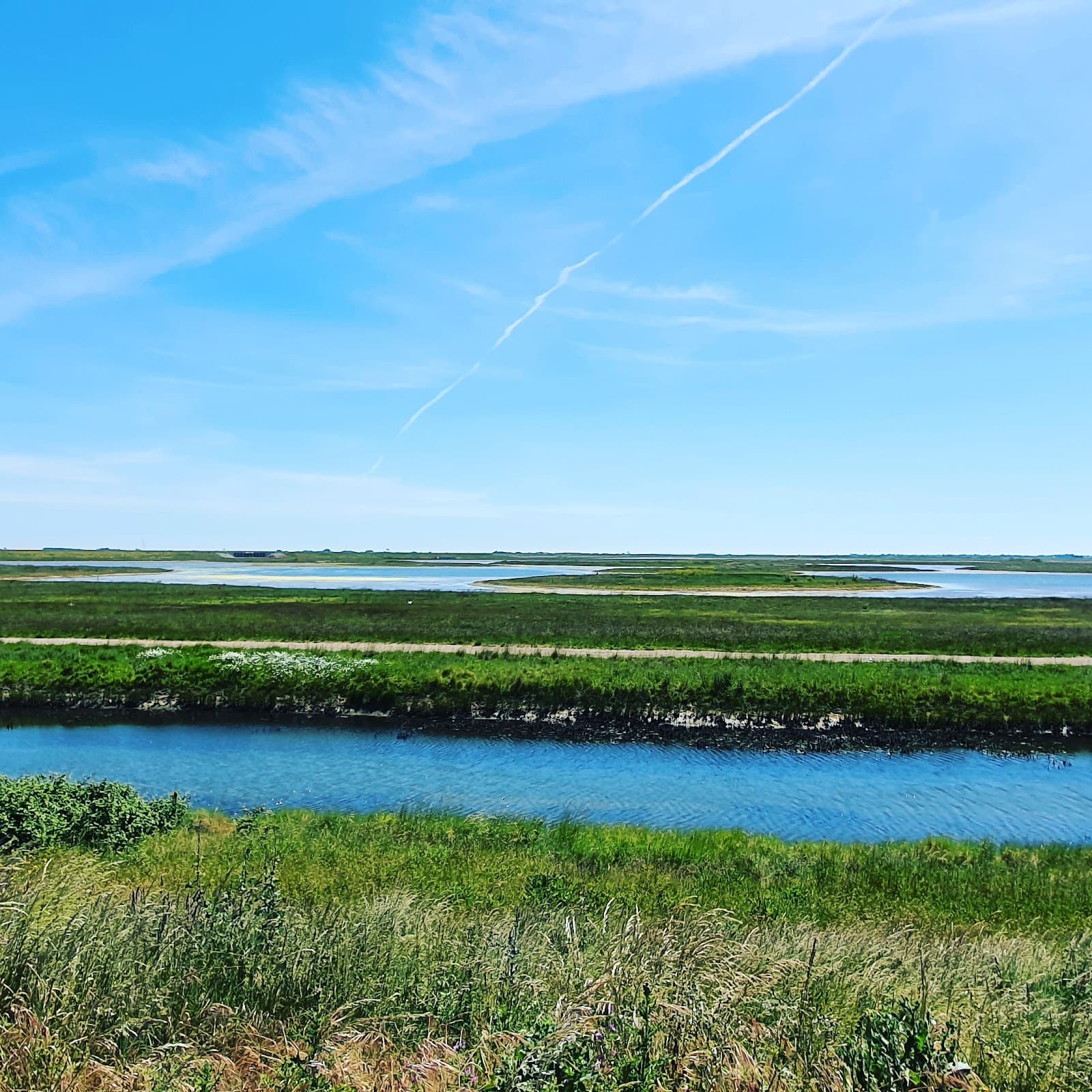 Wallasea Island RSPB Reserve - Image 1