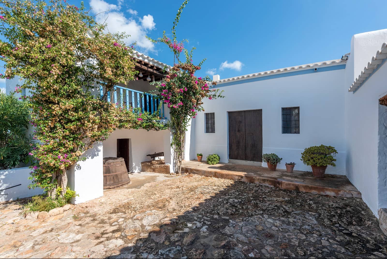 Ibizan Herbs Workshop
