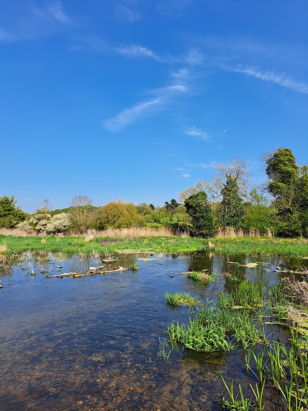 Sproughton Water Meadows - Image 1
