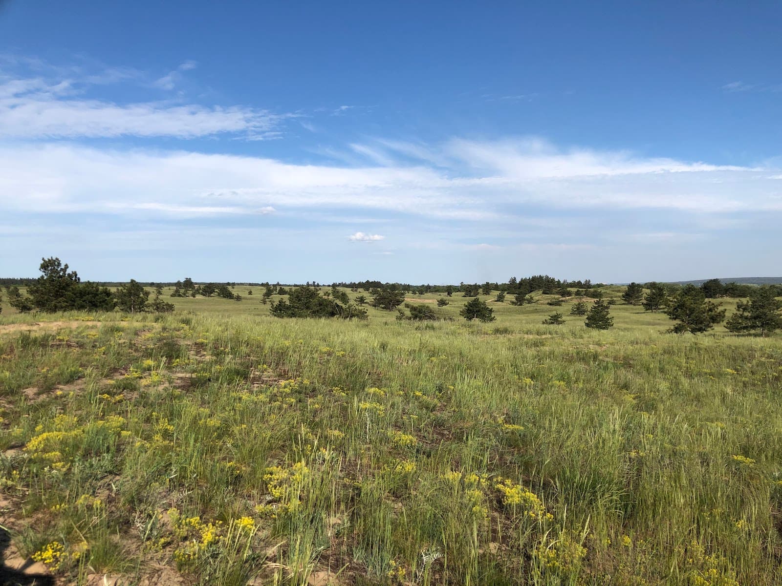 Dniprovsko-Orilskyi Nature Reserve - Image 1