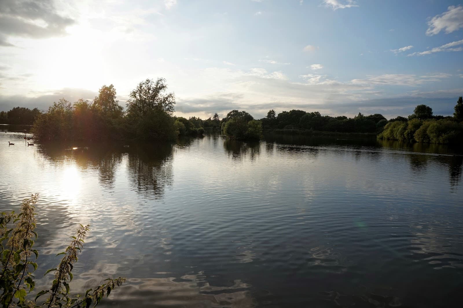 Eastbrookend Country Park - Image 1