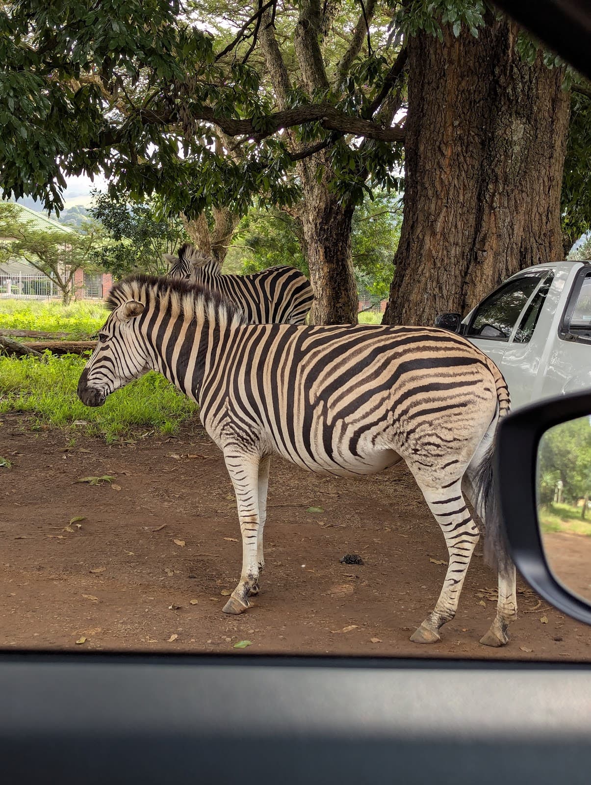 Umgeni Valley Nature Reserve - Image 1