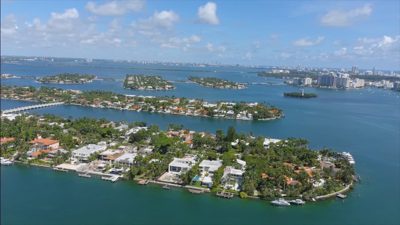 Palm Island - Image 1