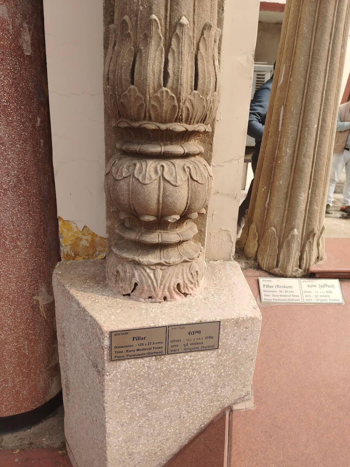 Vertical photo