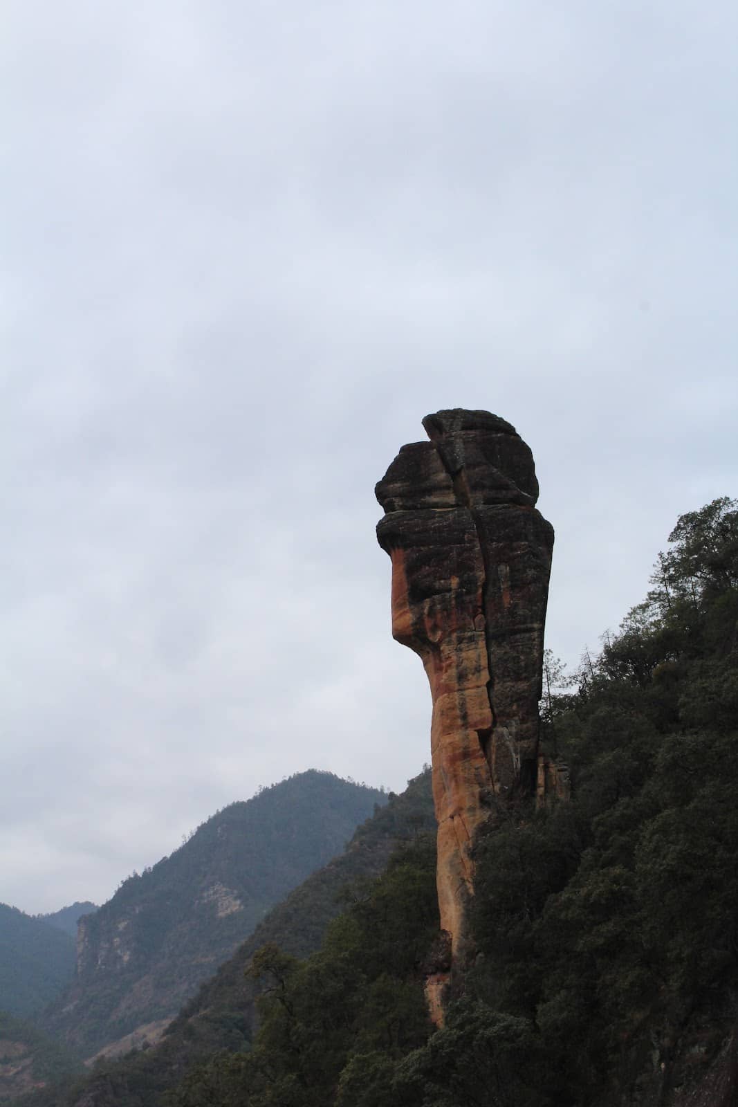Vertical photo