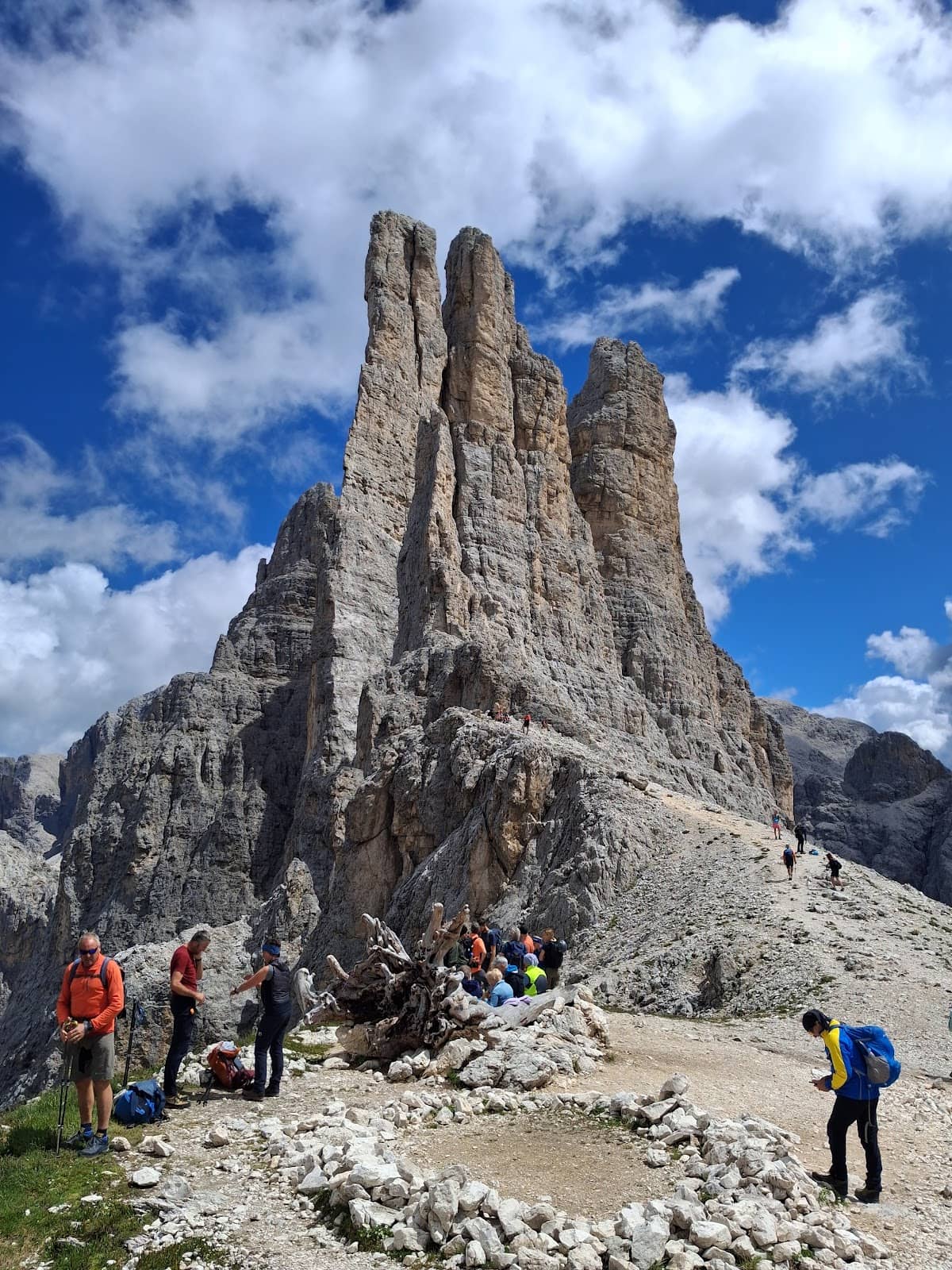 Vertical photo
