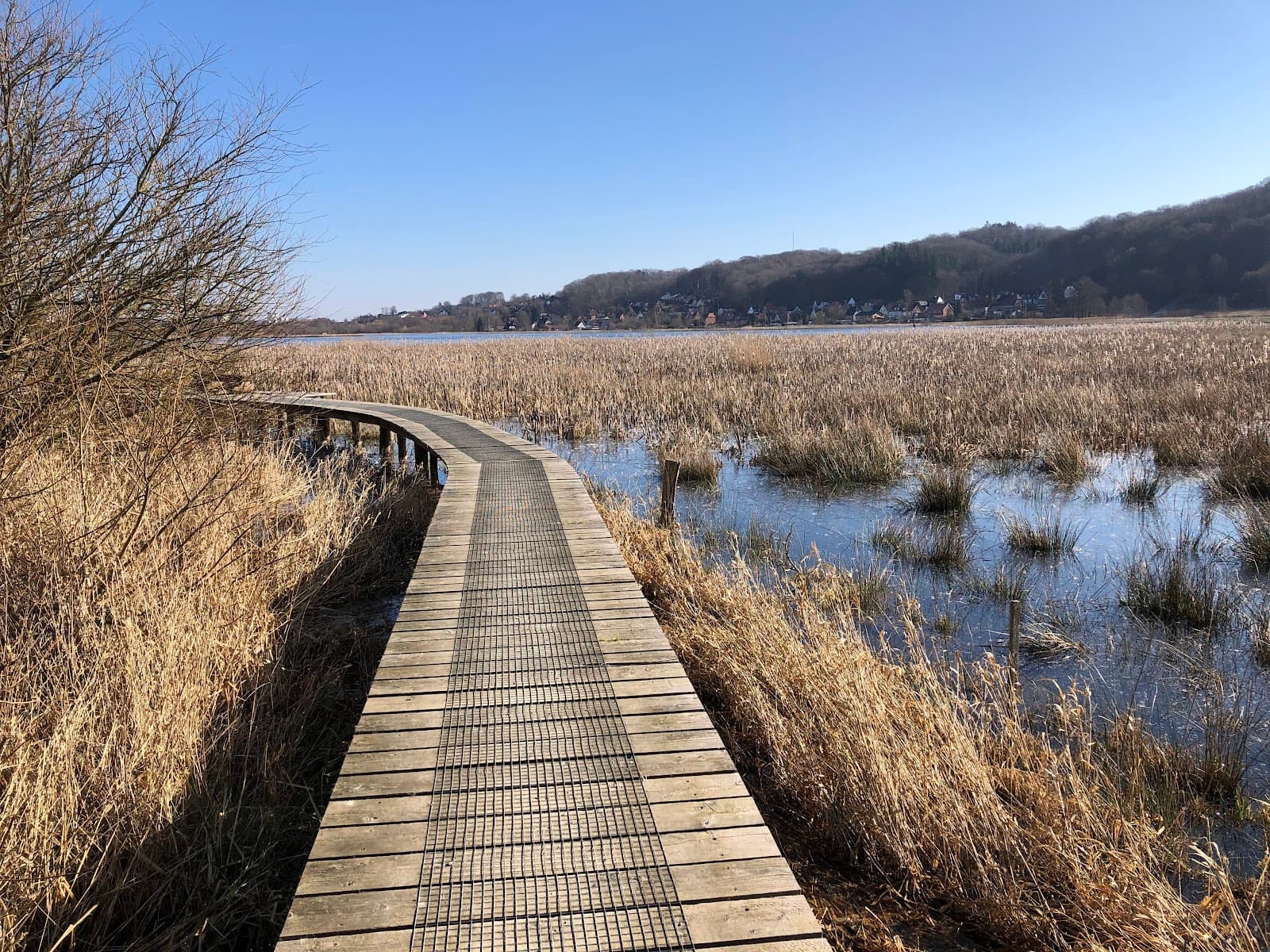 Kongens Kær Nature Reserve - Image 1