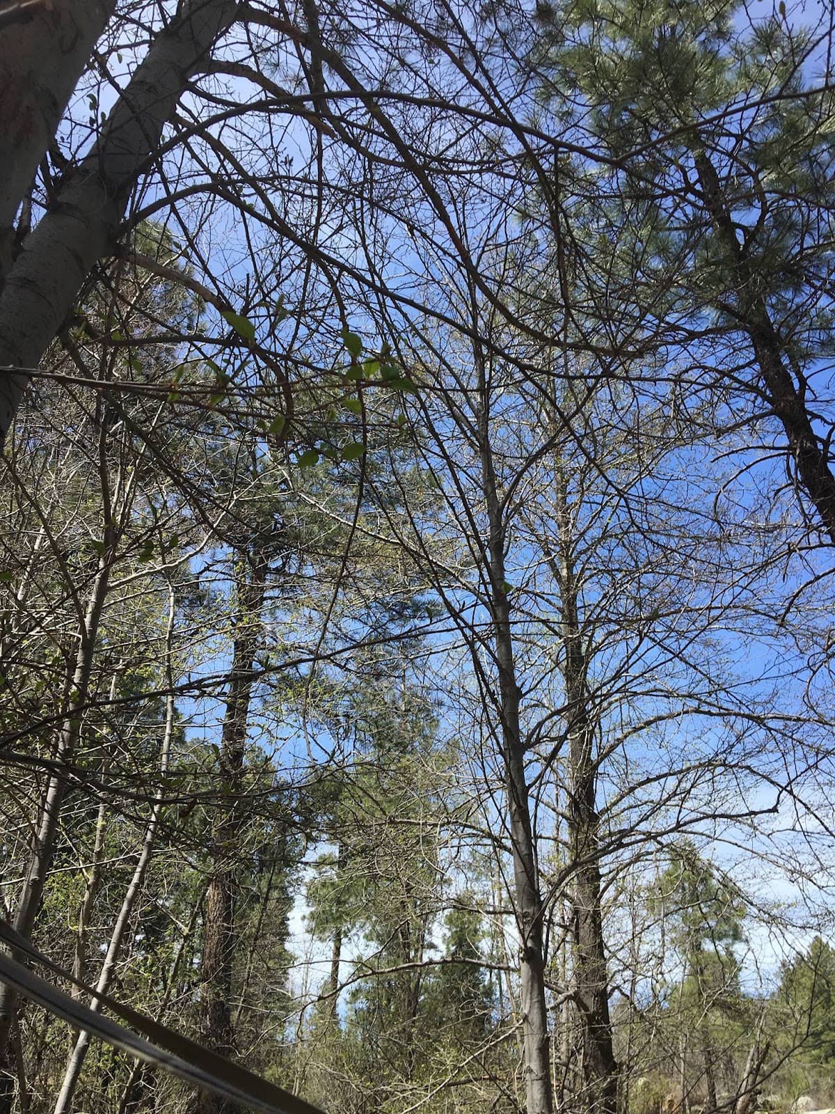 Vertical photo
