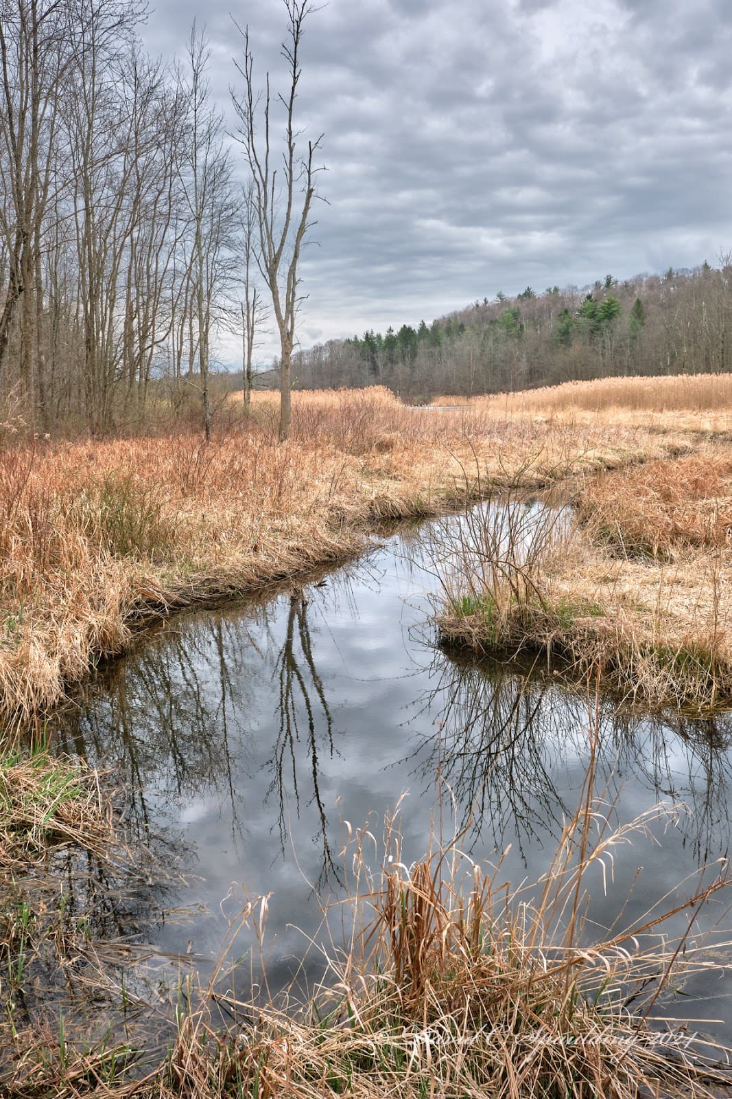 Skaneateles Conservation Area - Image 1