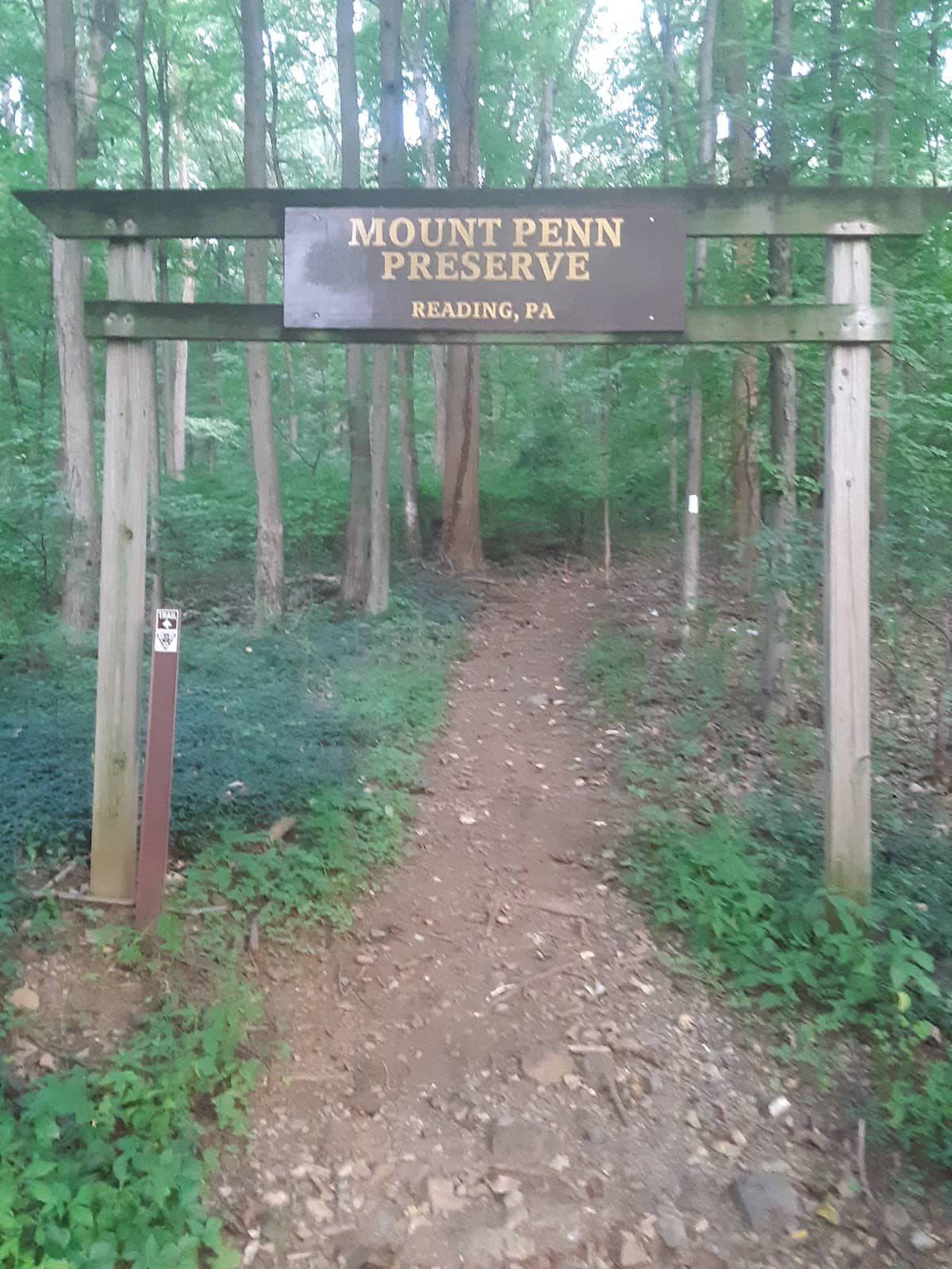 Diverse Trail Network