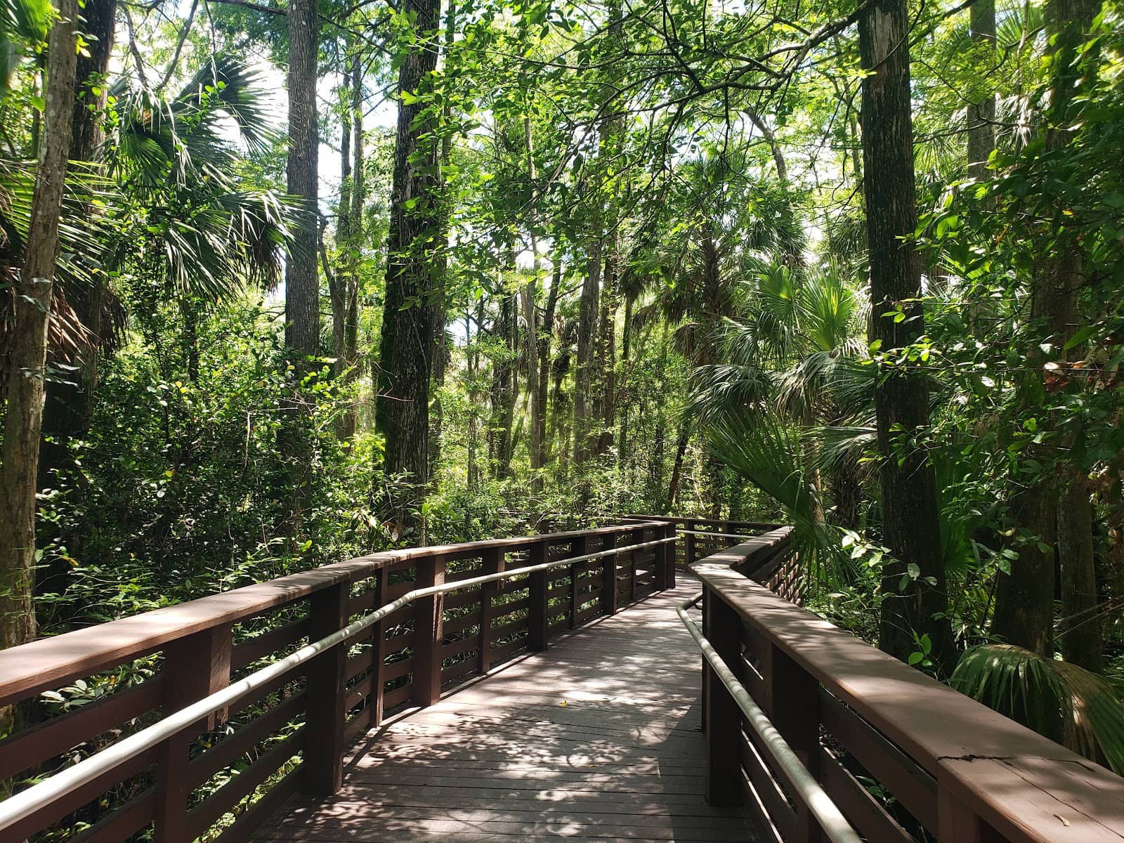 Abundant Wildlife Sightings