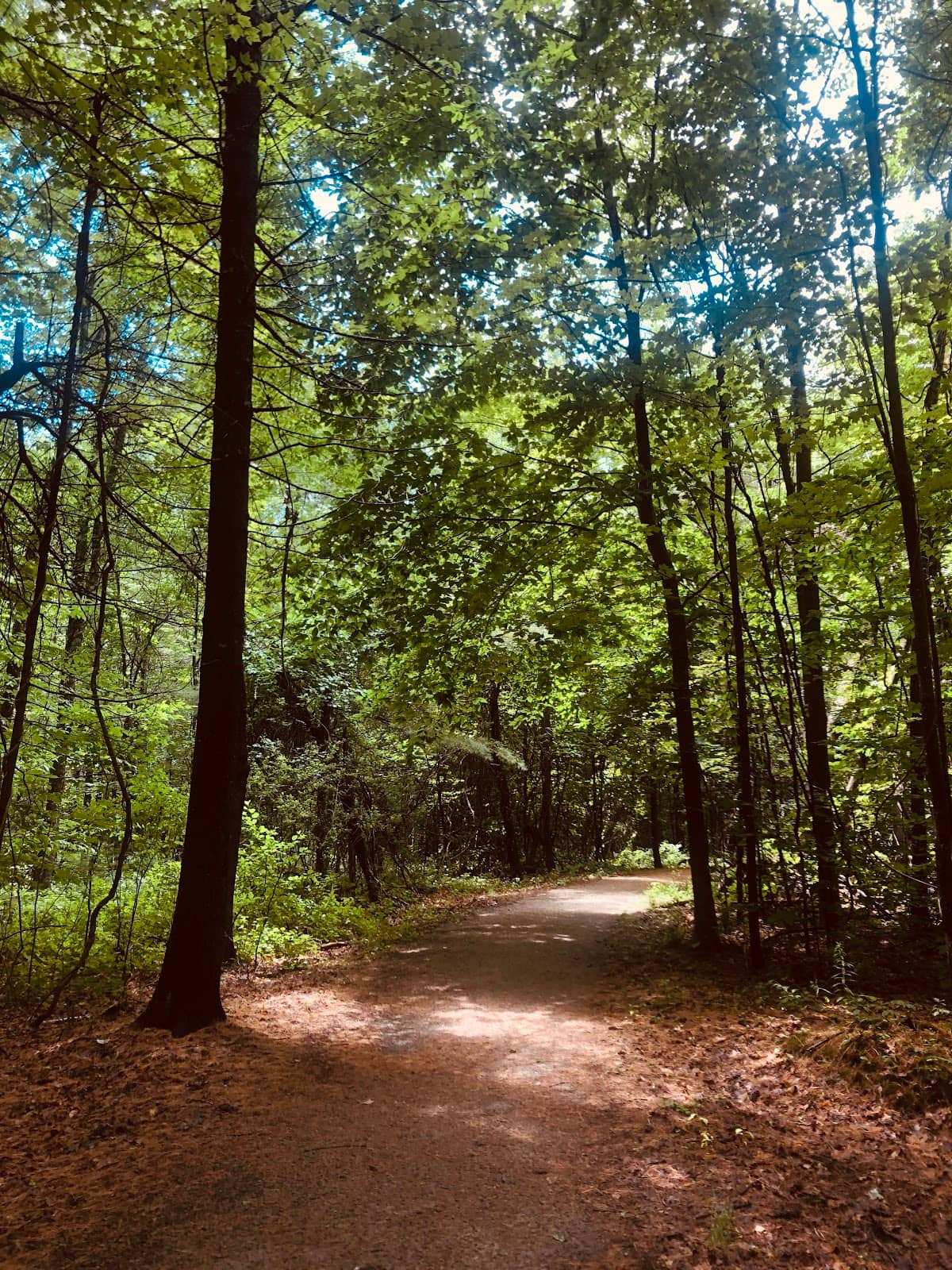 Outer Trail Loop