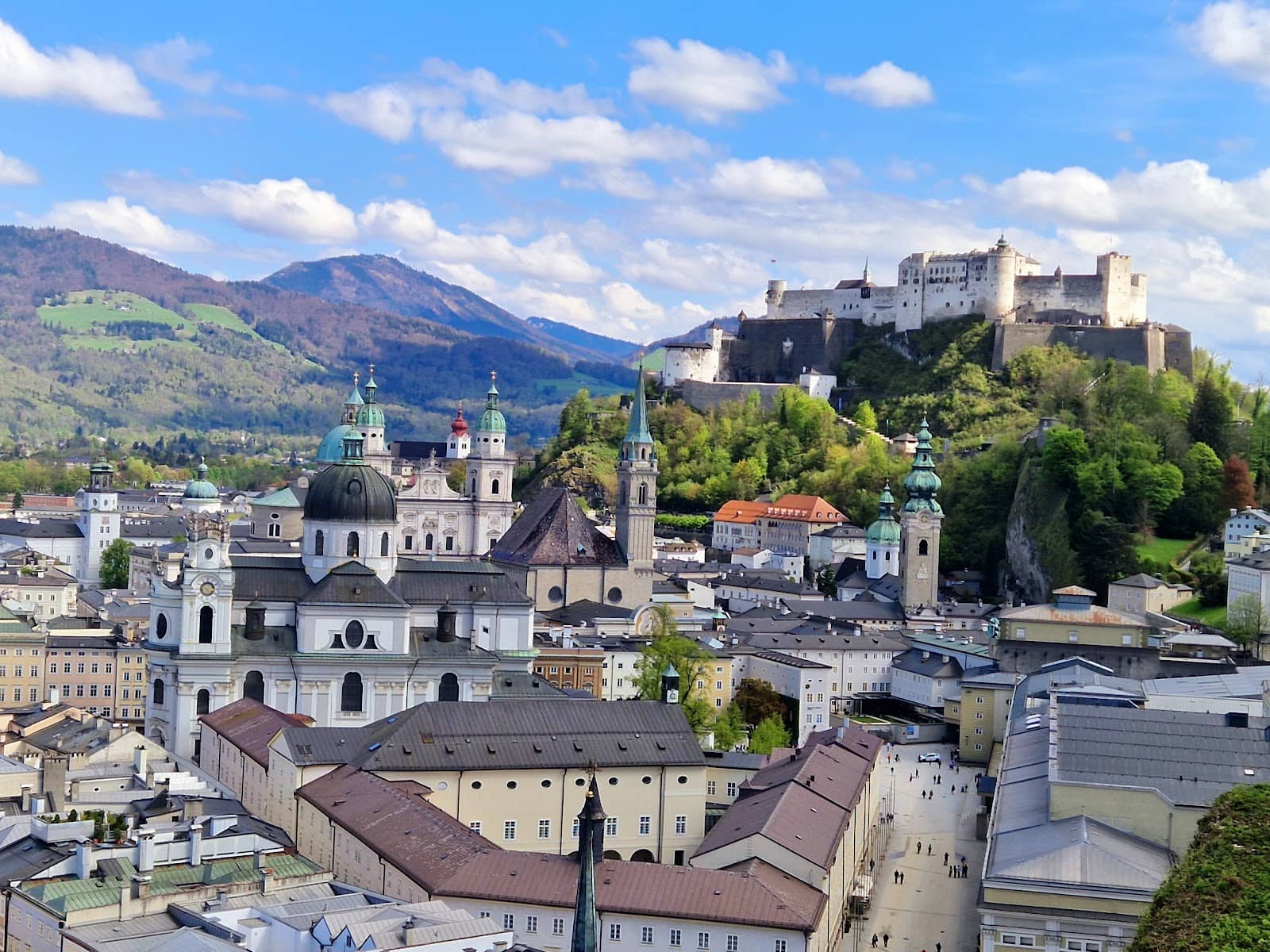 Wooded Walking Trails
