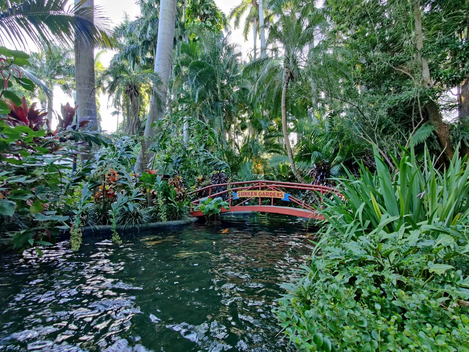 Botanical Garden - Image 1