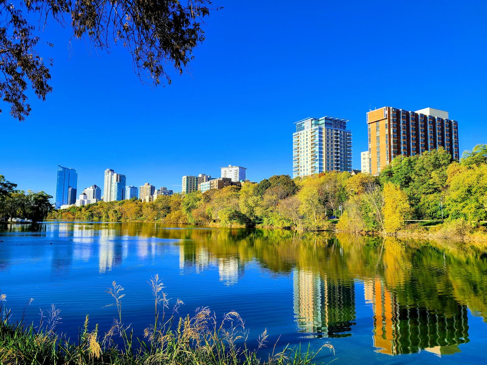 Veterans Park - Image 1