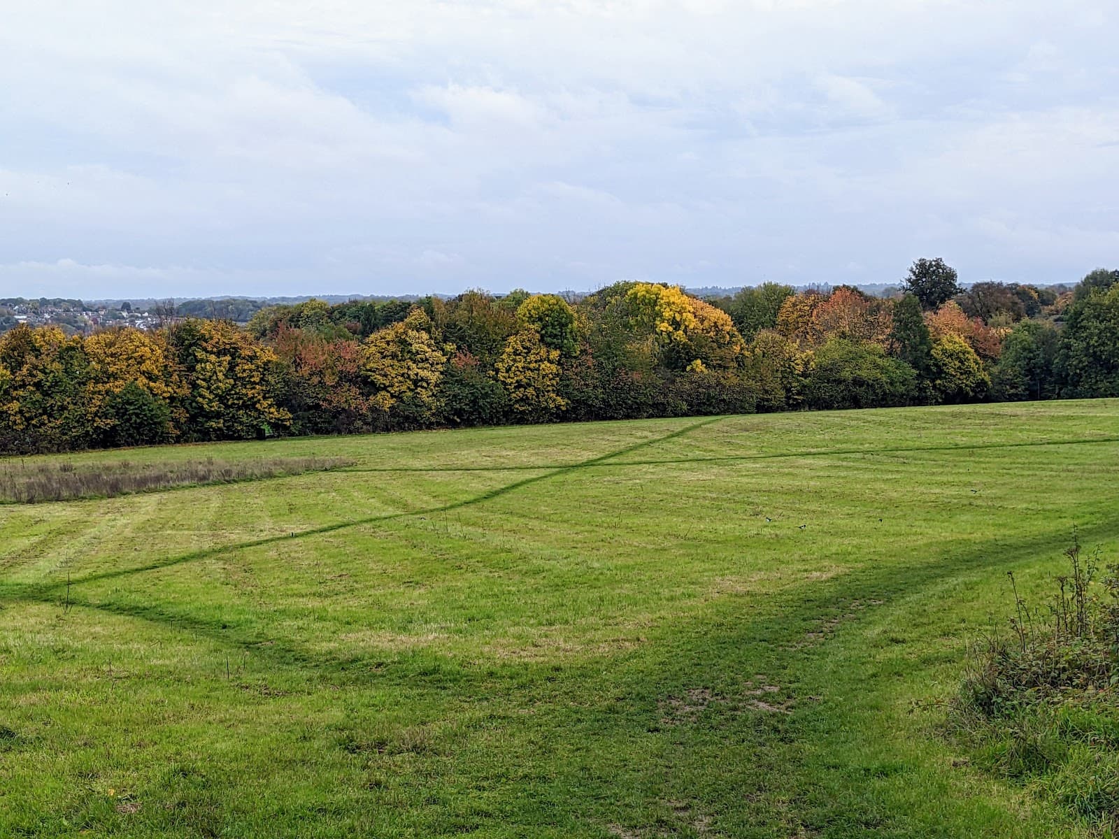 Darrick and Newstead Woods - Image 1
