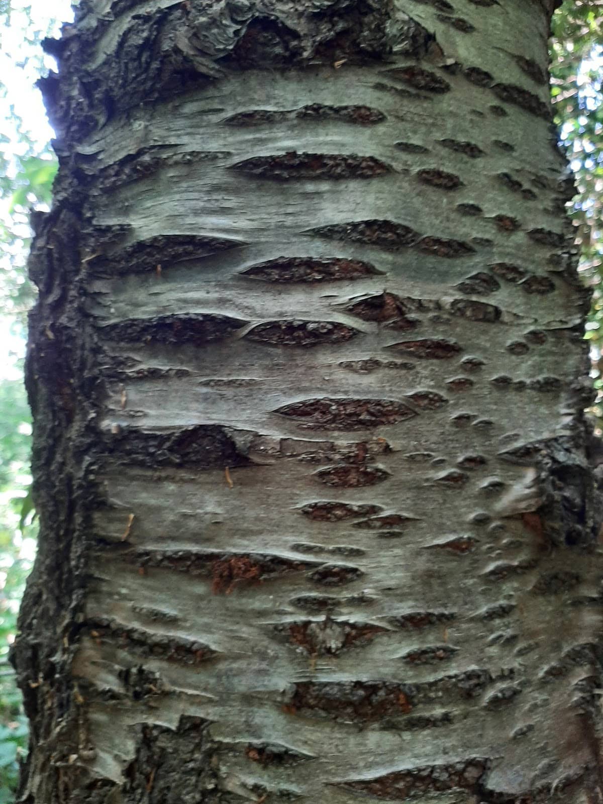 Vertical photo