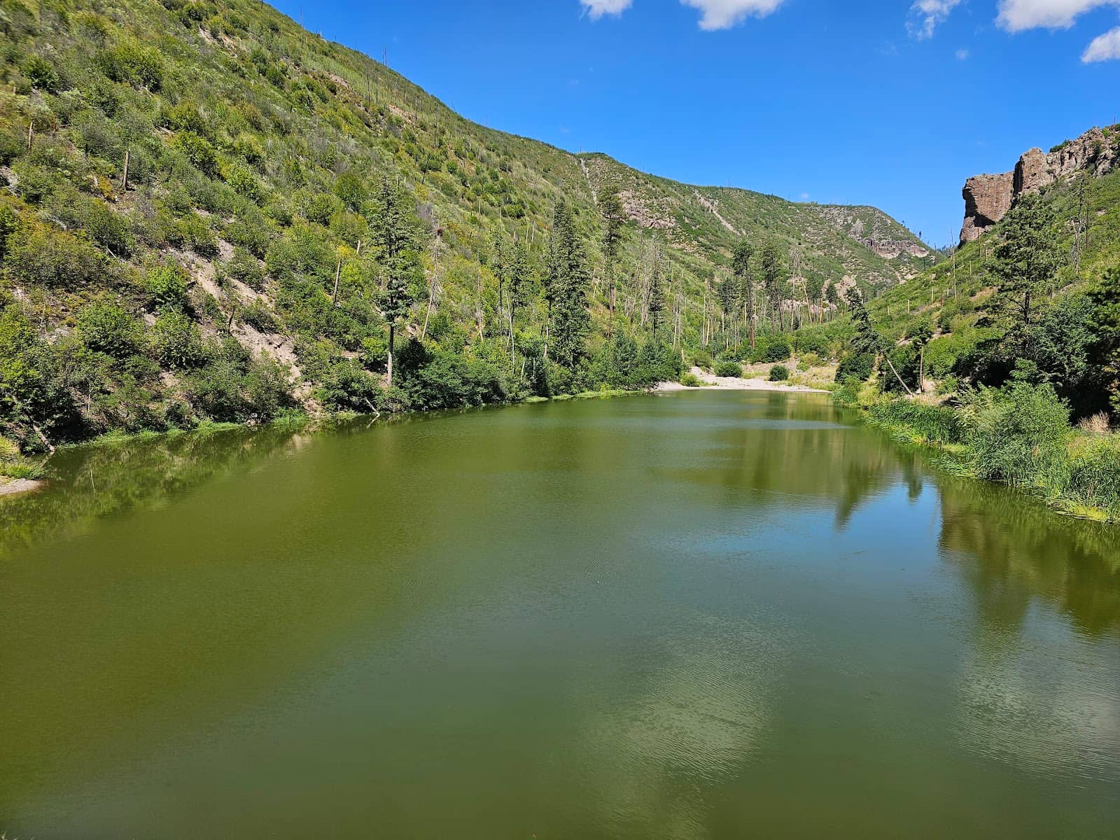 Reservoir Overlook Bridge