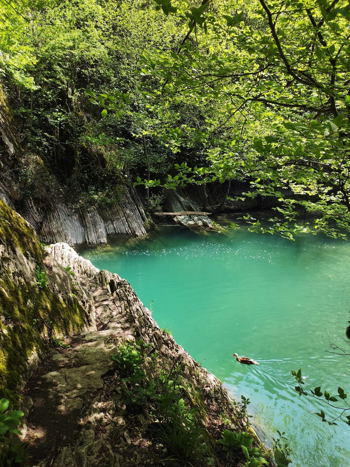Khosta Sochi - Image 1