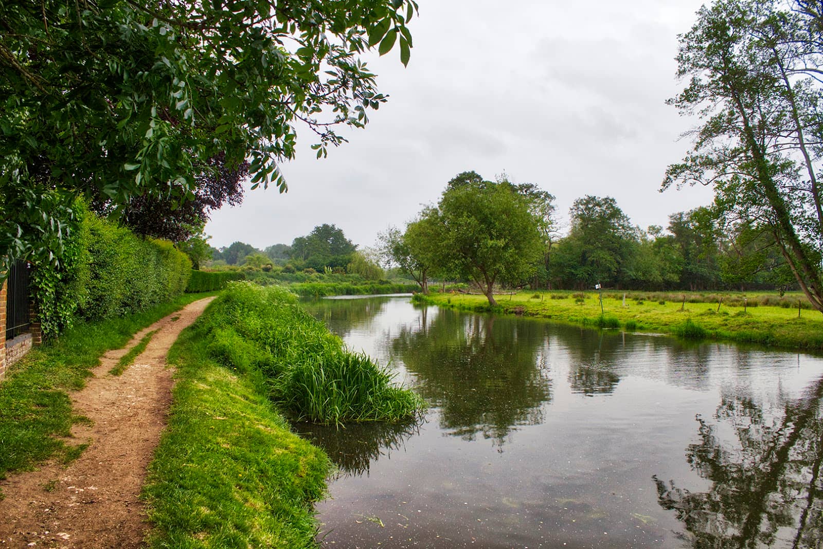 Shalford Water Meadows