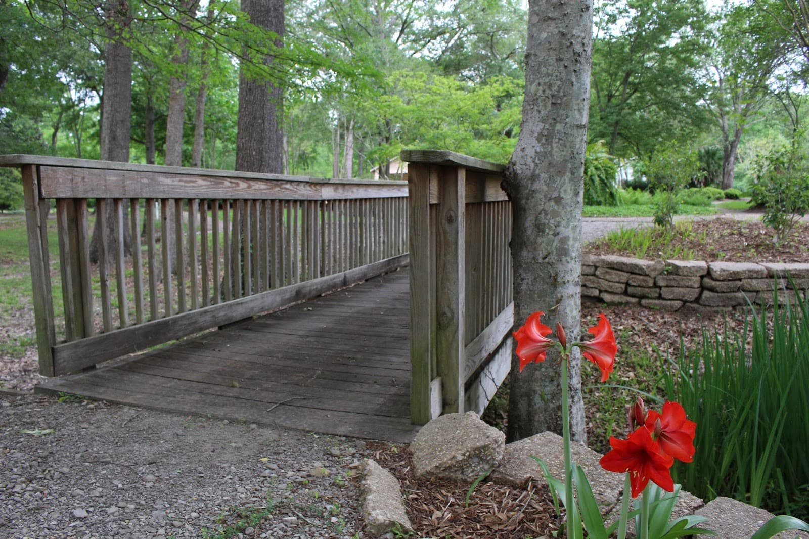 BREC Cohn Arboretum - Image 1