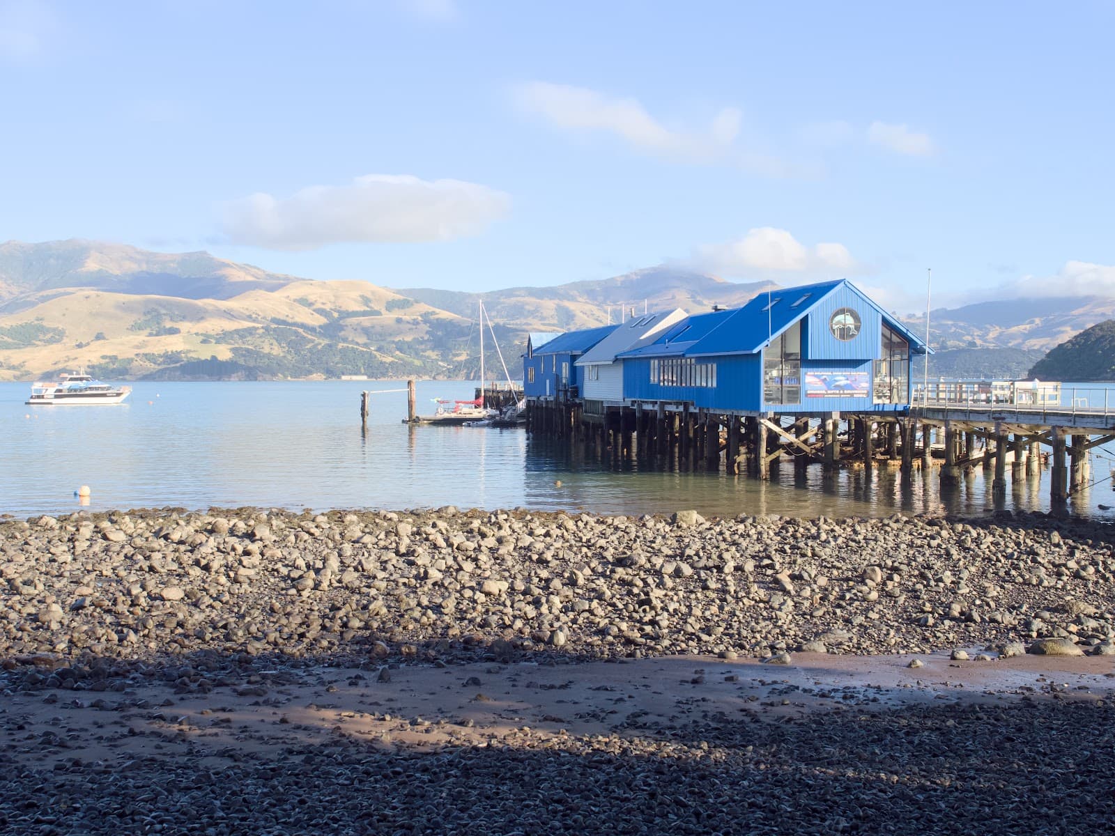 Akaroa Main Wharf - Image 1
