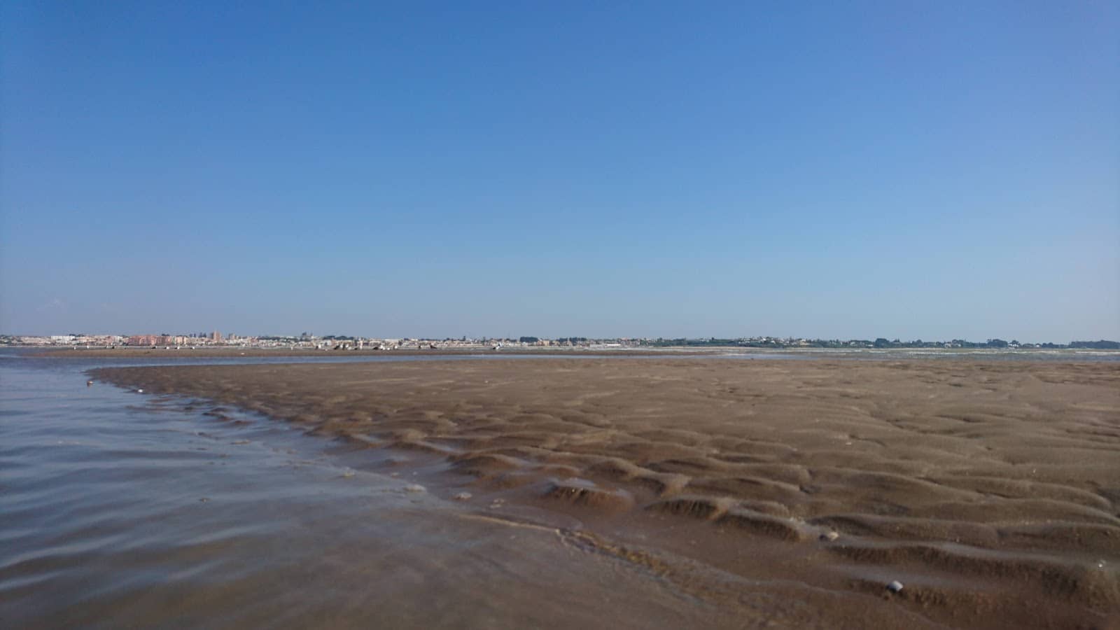 Nature Lover's Haven