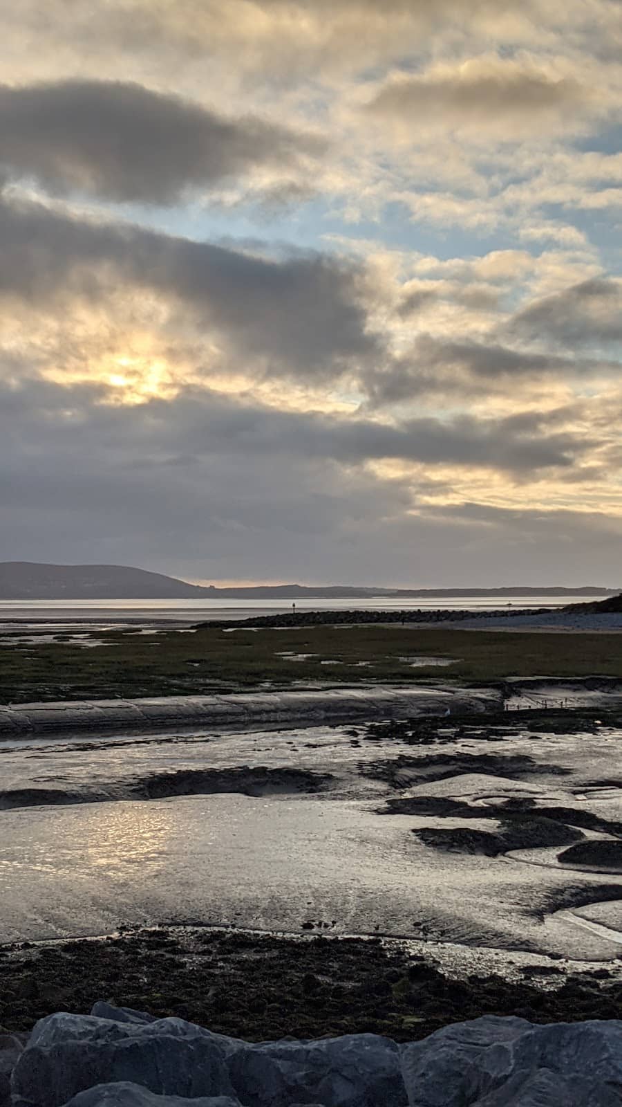 WWT National Wetlands Centre Wales