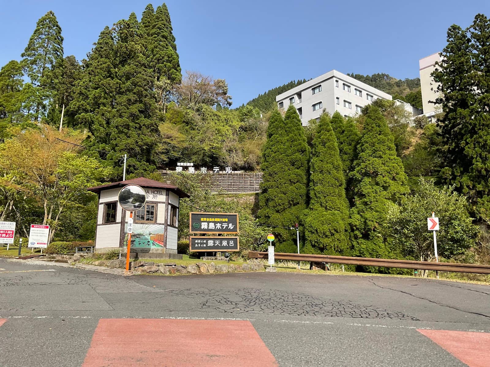 Cedar Forest Surroundings