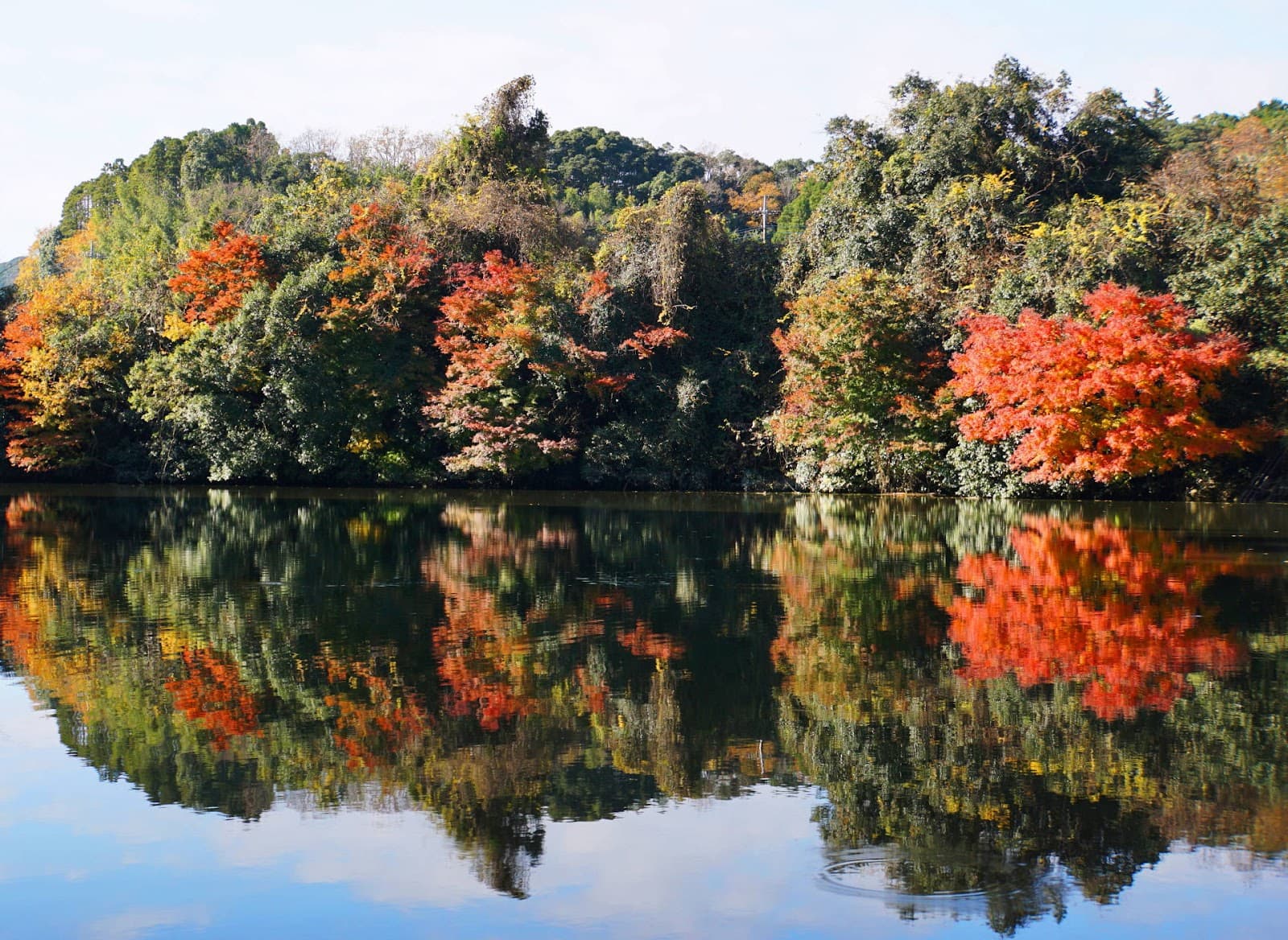 Kameyama Lake - Image 1