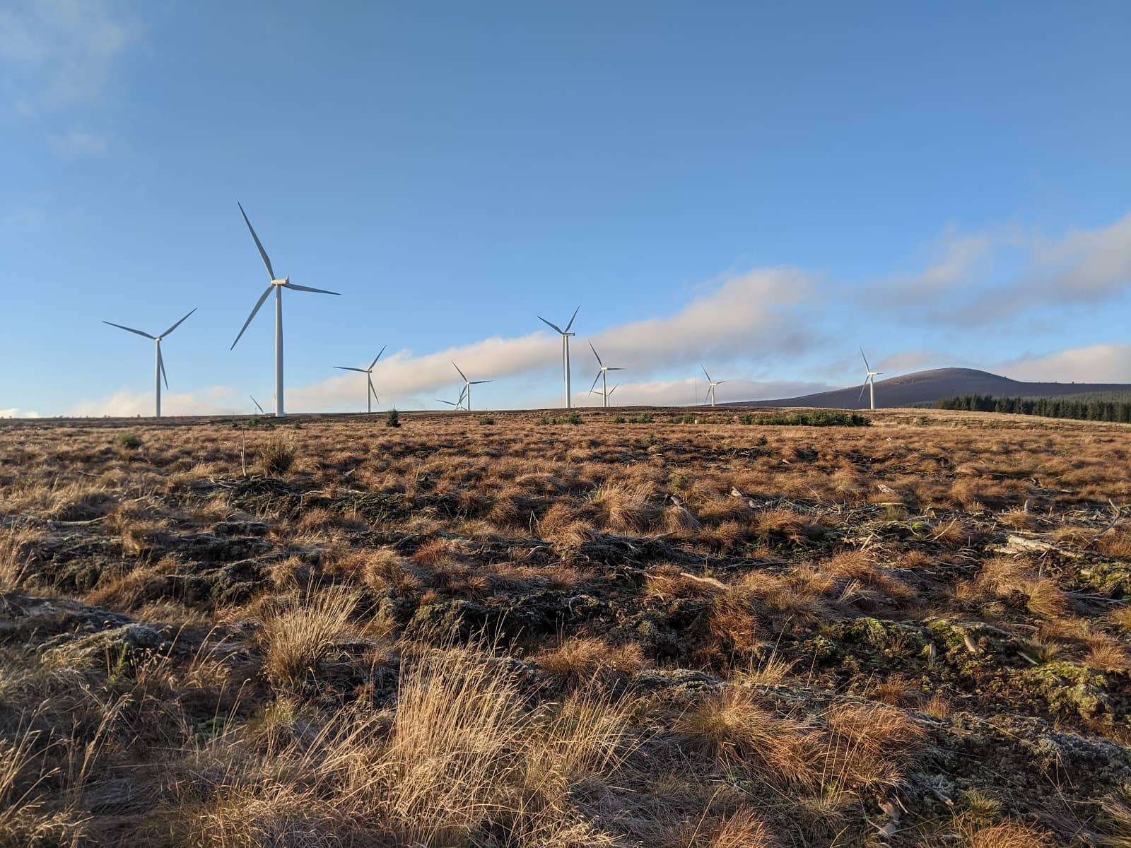 Grampian Forest Rally
