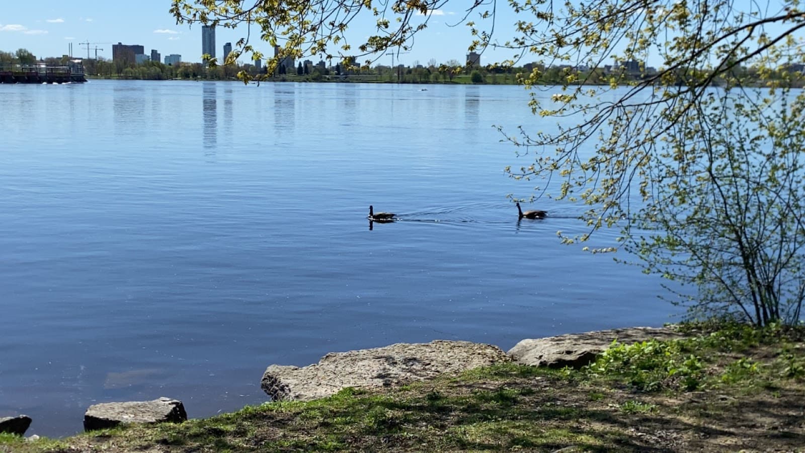 Parc des Portageurs Gatineau - Image 1