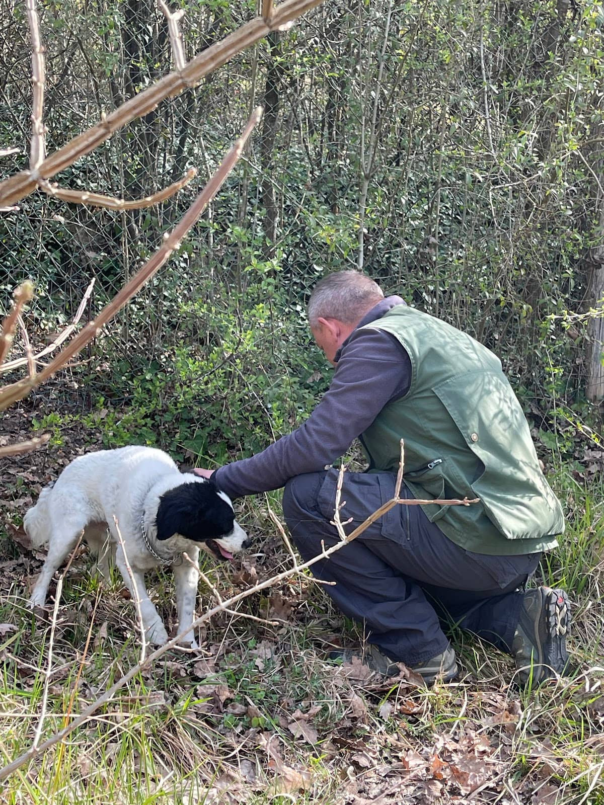 Meet the Truffle Hunter