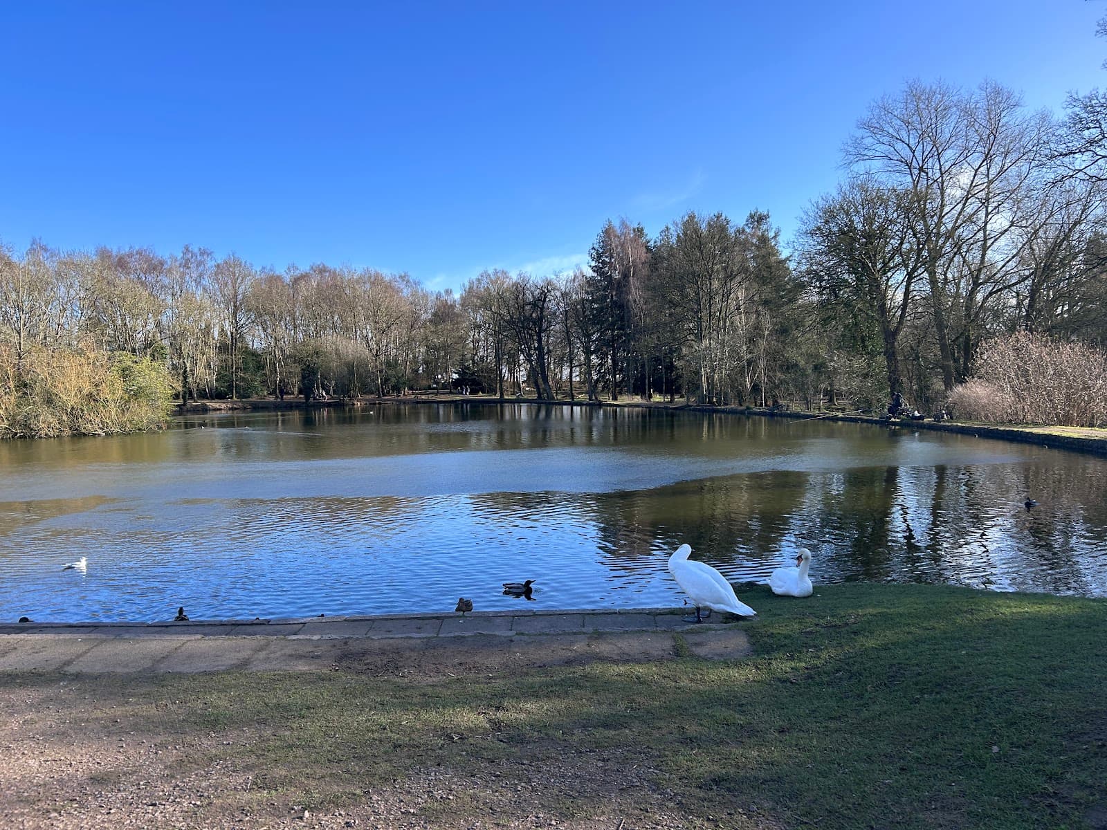 Market Bosworth Country Park - Image 1