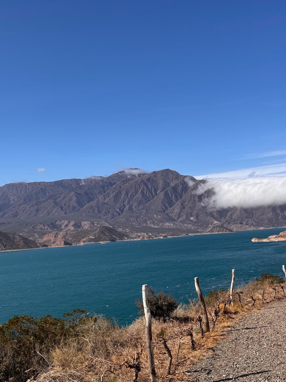 Potrerillos Lake and Dam - Image 1