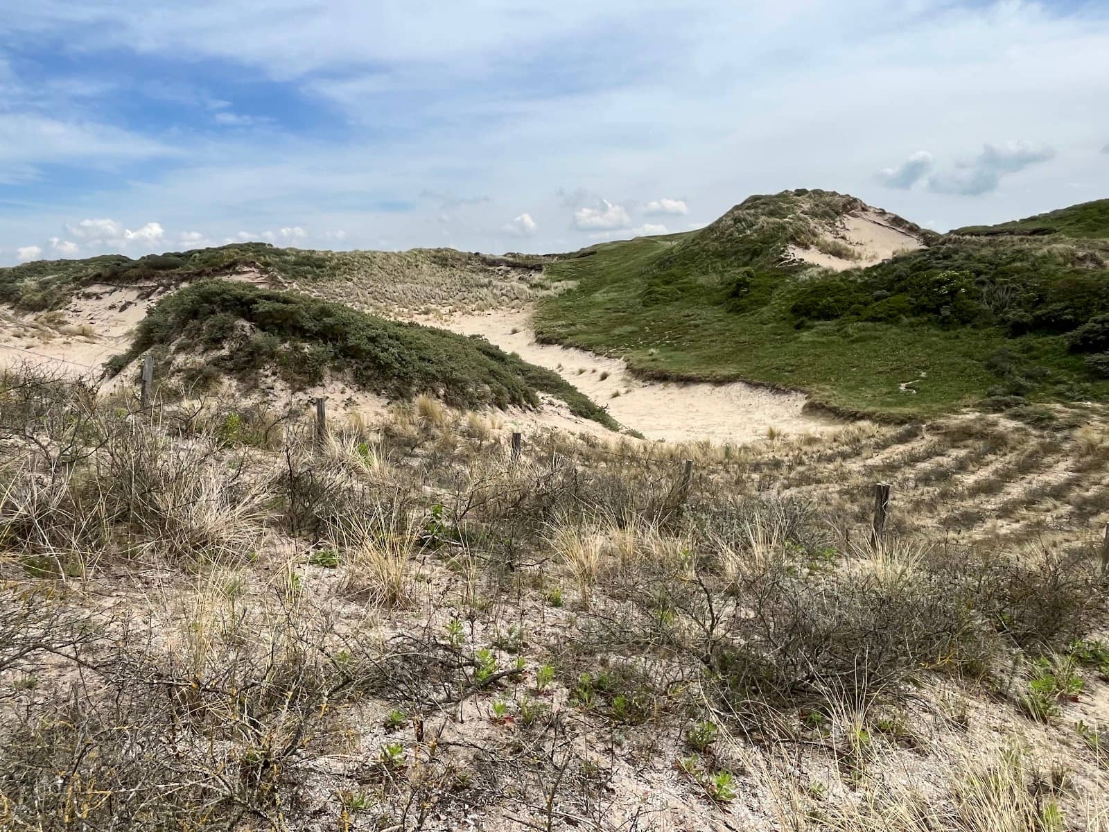 Miles of Sandy Beach
