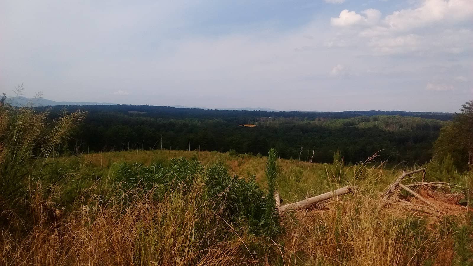 City of Atlanta Tract