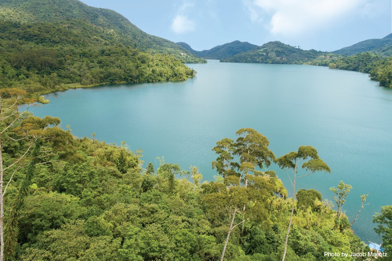 Lake Danao Natural Park - Image 1