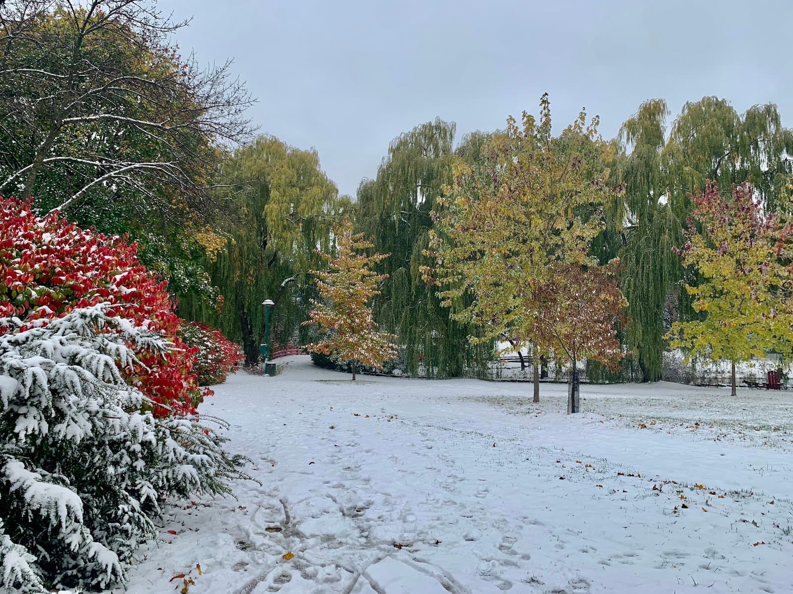 Nuns' Island (Île des Sœurs) - Image 1