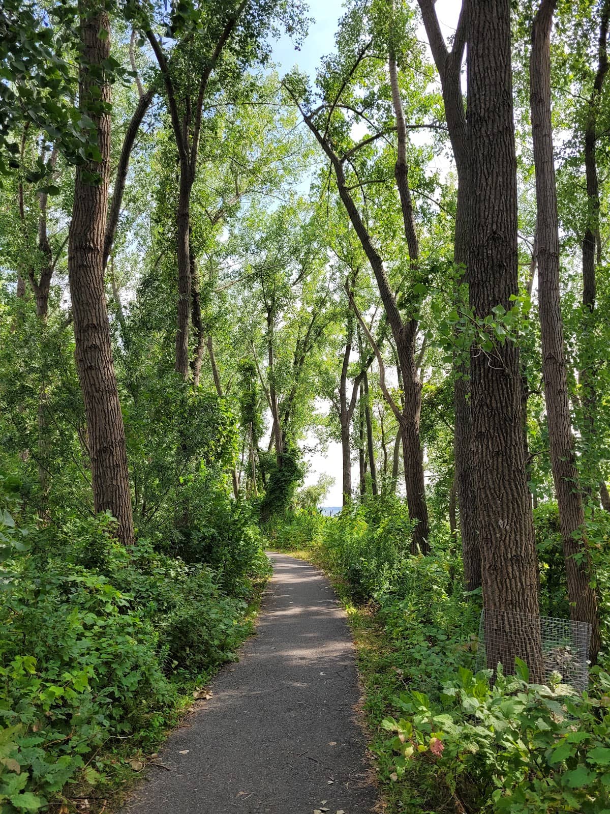 Vertical photo