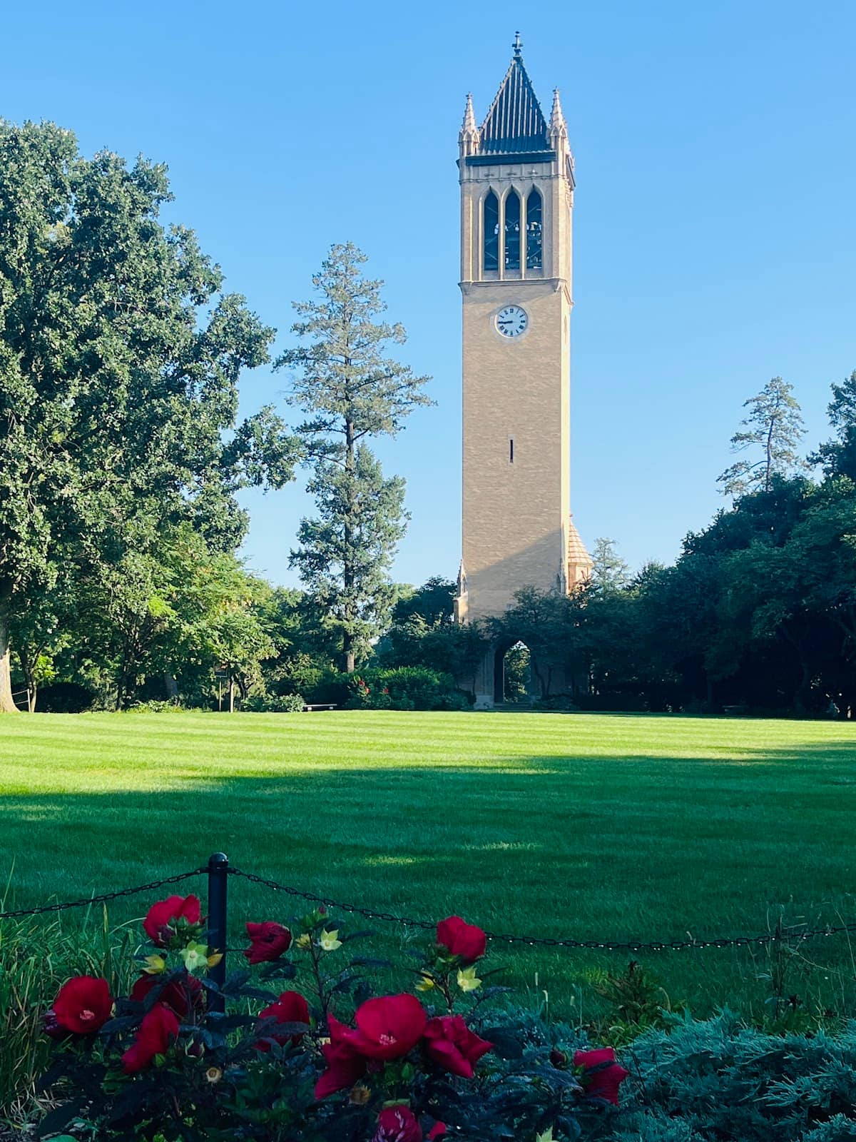 Campus Views