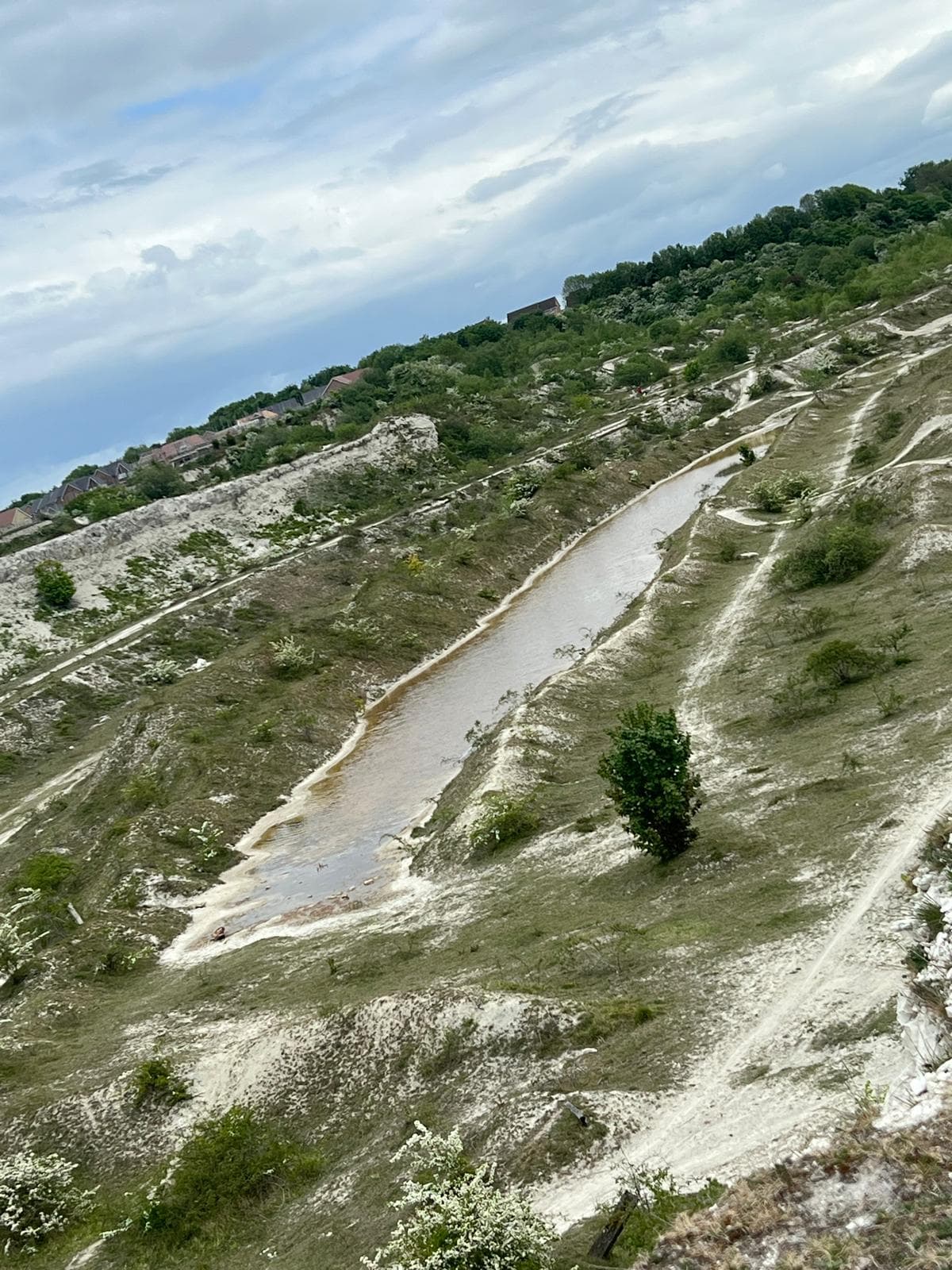 Houghton Regis Chalk Pit - Image 1